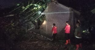 Hujan Deras dan Angin Kencang di Sumbang, Pohon Bambu Roboh Timpa Rumah Warga